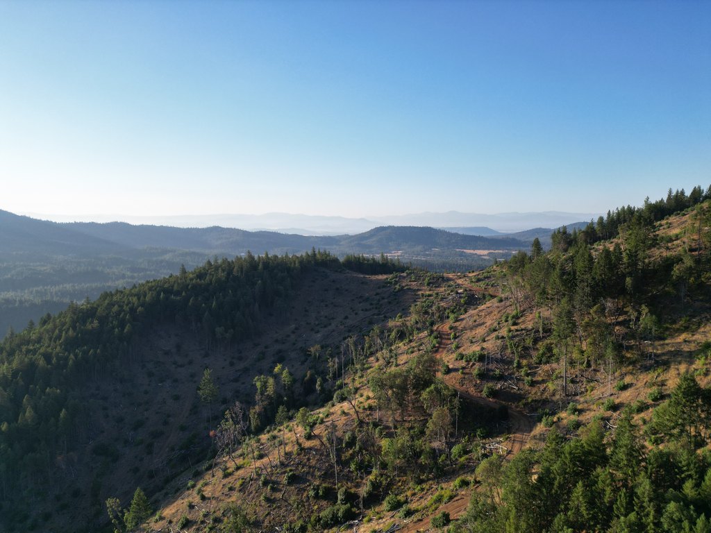 Picture 25