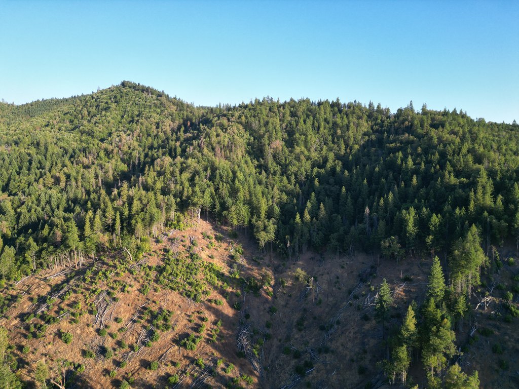 Picture 24