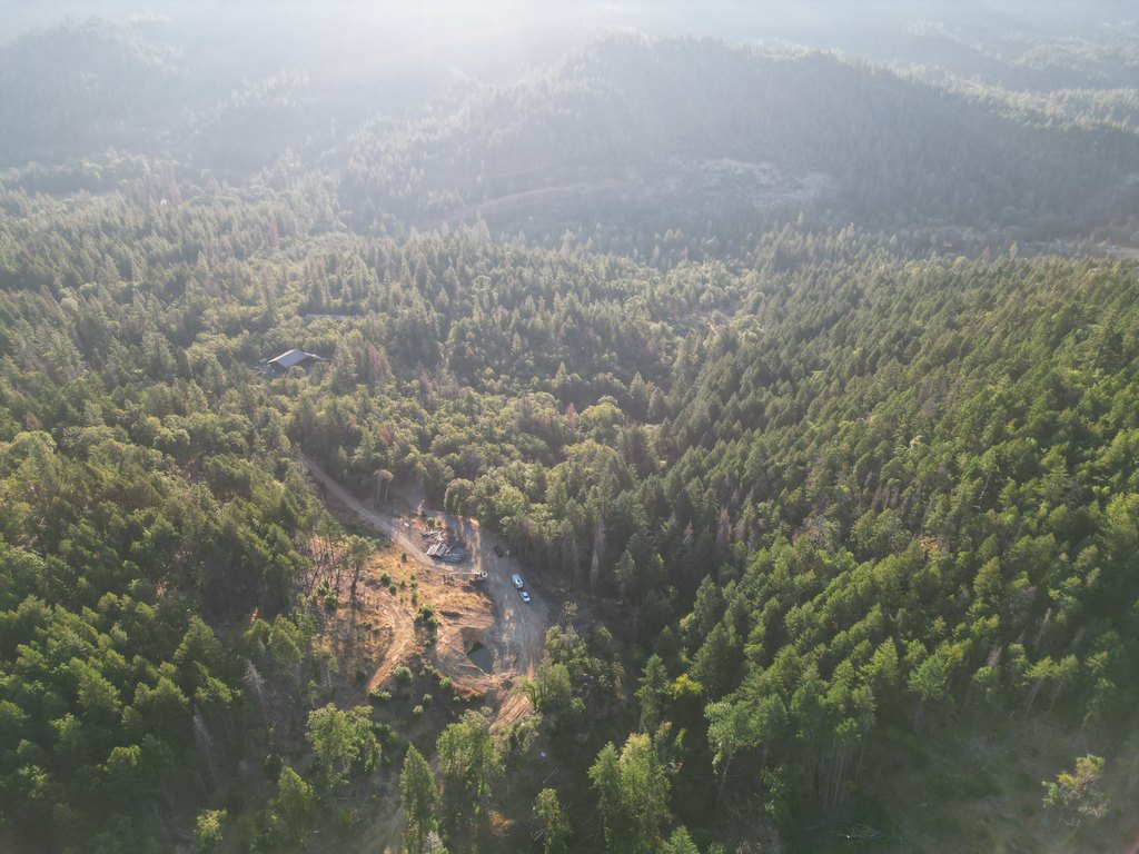 Picture 3