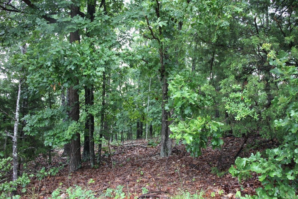 Picture 18