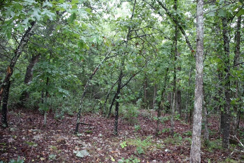 Picture 9