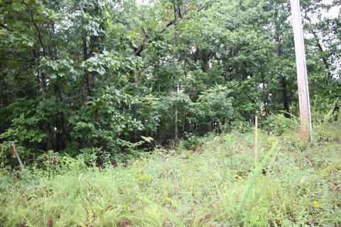 LAND - Mountain Home, AR