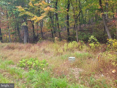 Land, WINCHESTER, VA