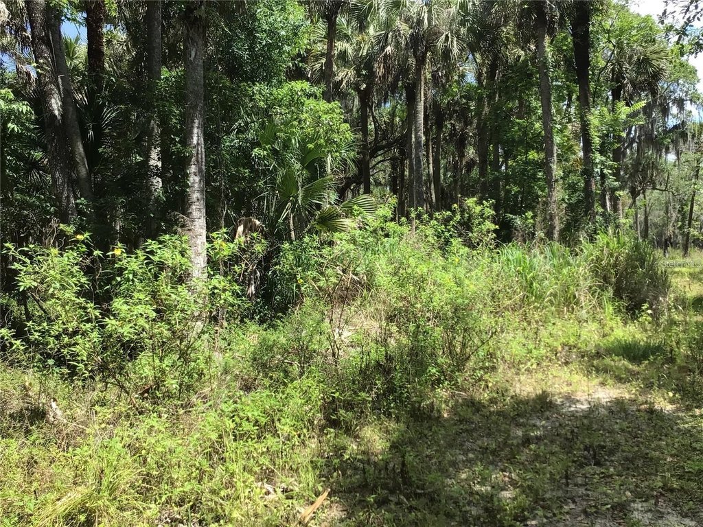 Picture 20