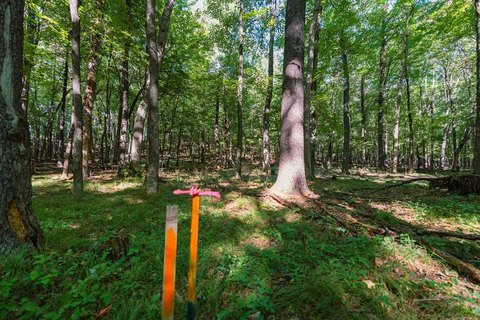 Land, Menomonie, WI