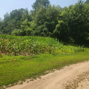 LAND - New Richmond, WI