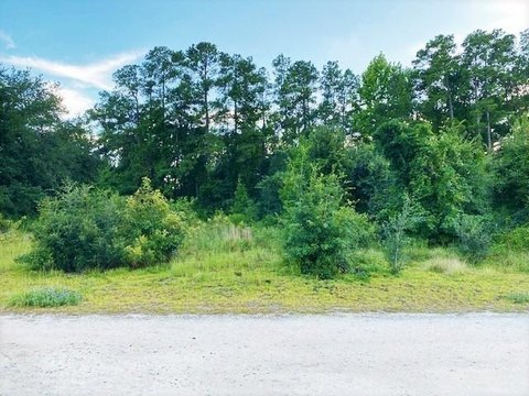 LAND - Dillon, SC