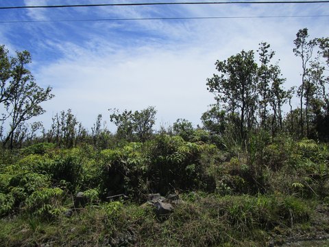 Volcano, HI Land For Sale