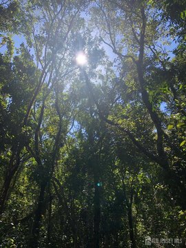 Monroe, NJ Buildable Land