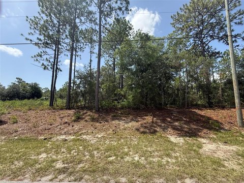 LAND - CITRUS SPRINGS, FL