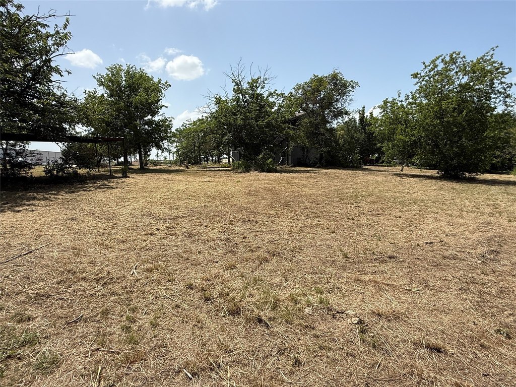 Picture 6