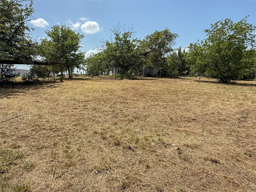 Picture 5