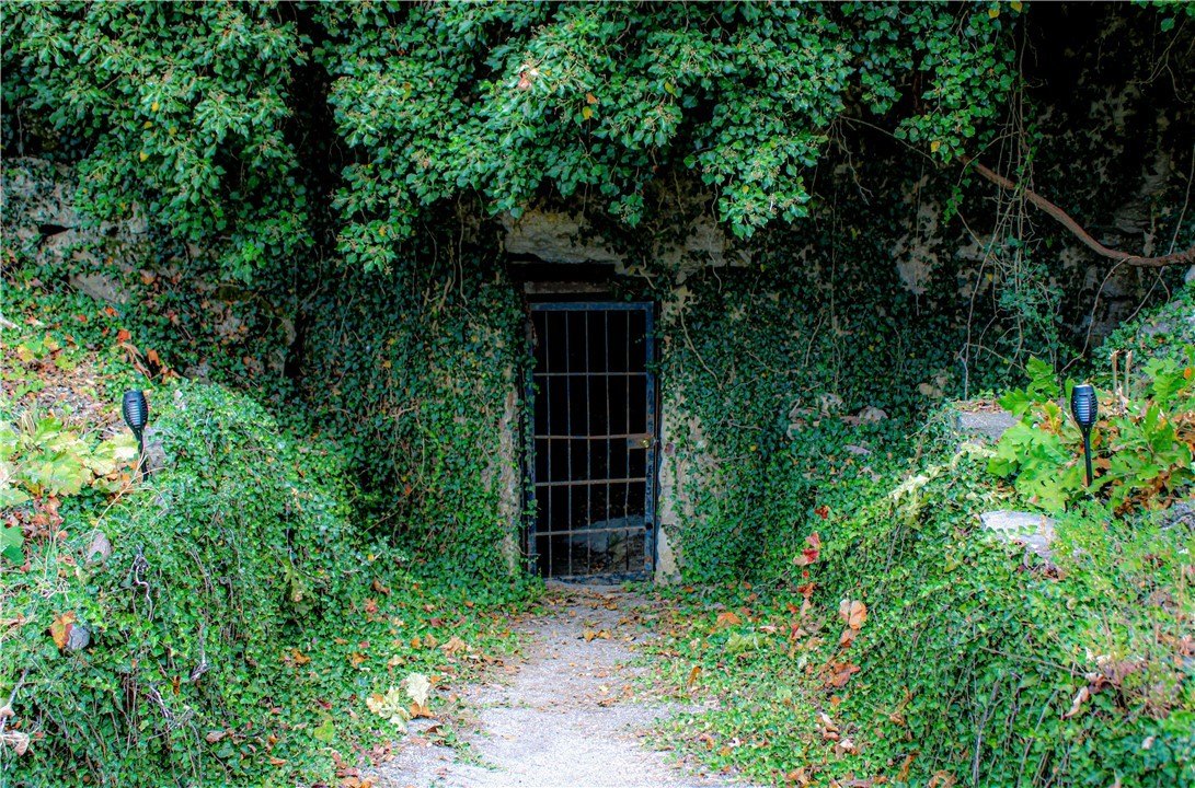 Shawnee Cave on 9.72 Acres