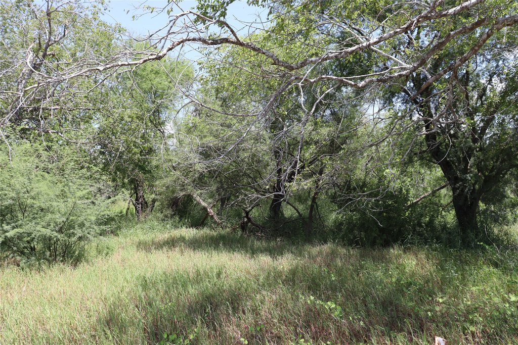 Picture 16
