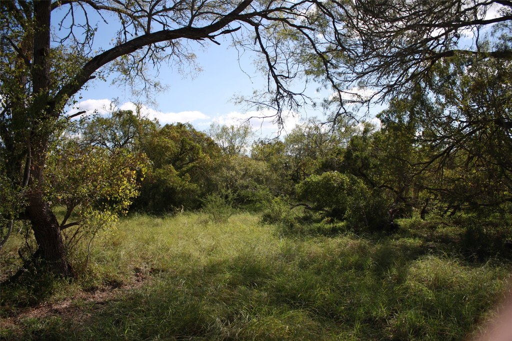 Picture 8