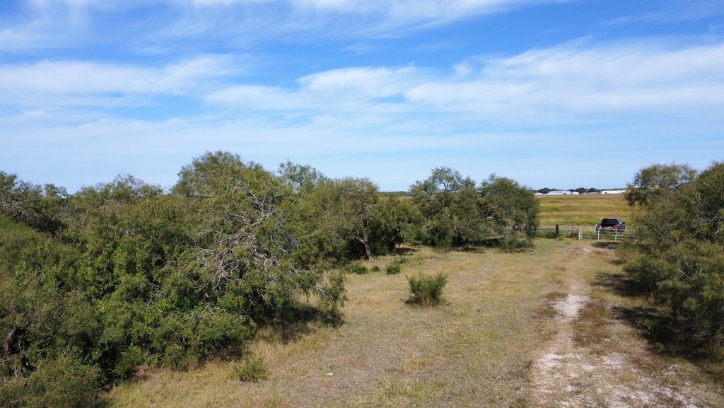 Picture 19