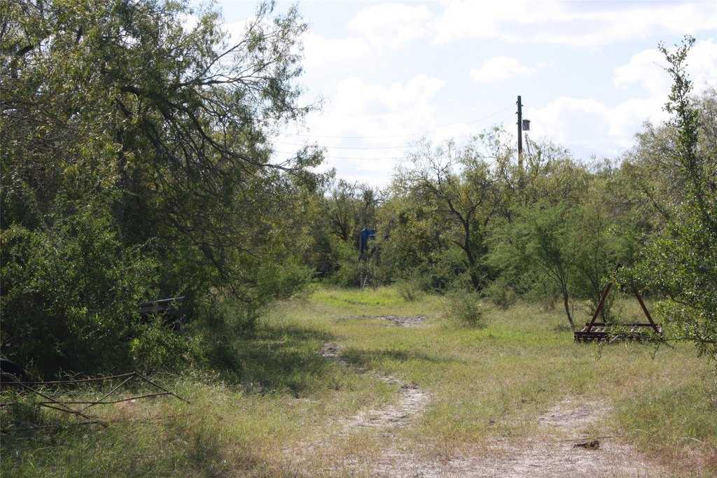 Picture 7