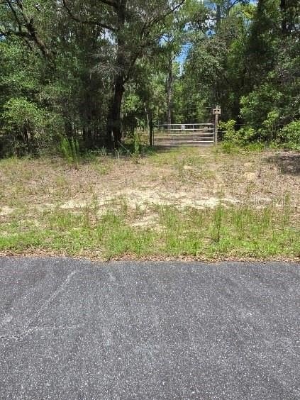 Picture 6
