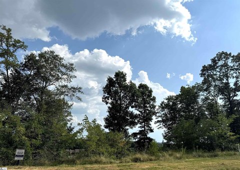 Greenville Land with Downtown Views