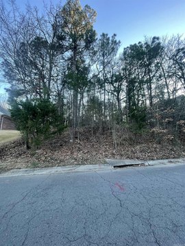 Residential Lot in Maumelle Heights