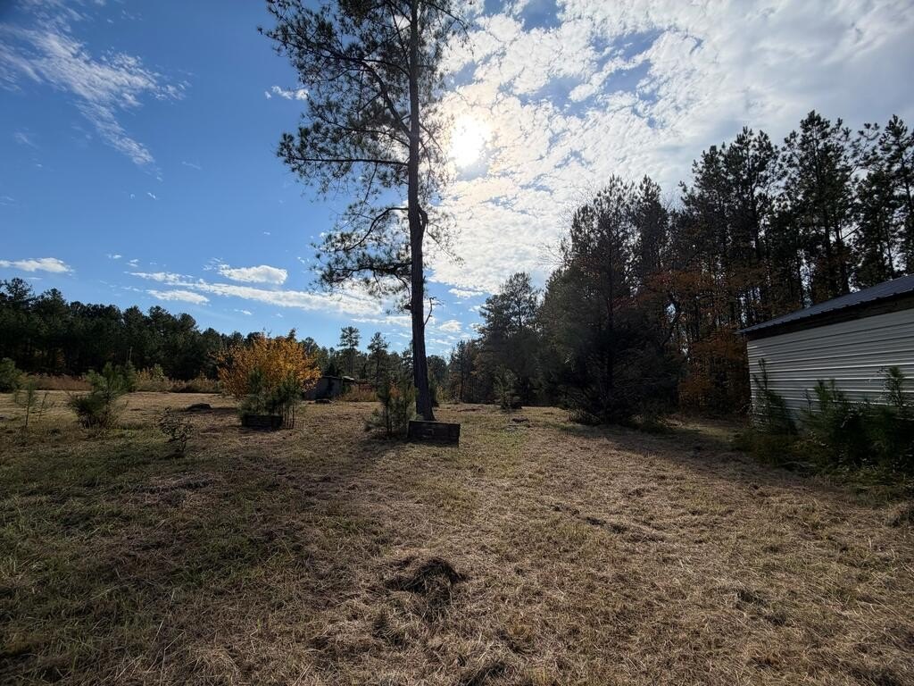 Picture 30