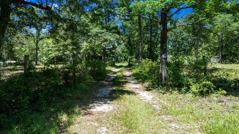 Land, Tallahassee, FL