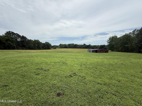 Prime Location Land in Olive Branch