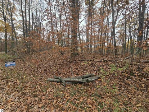 Vacant Lot/Land, Reed City, MI