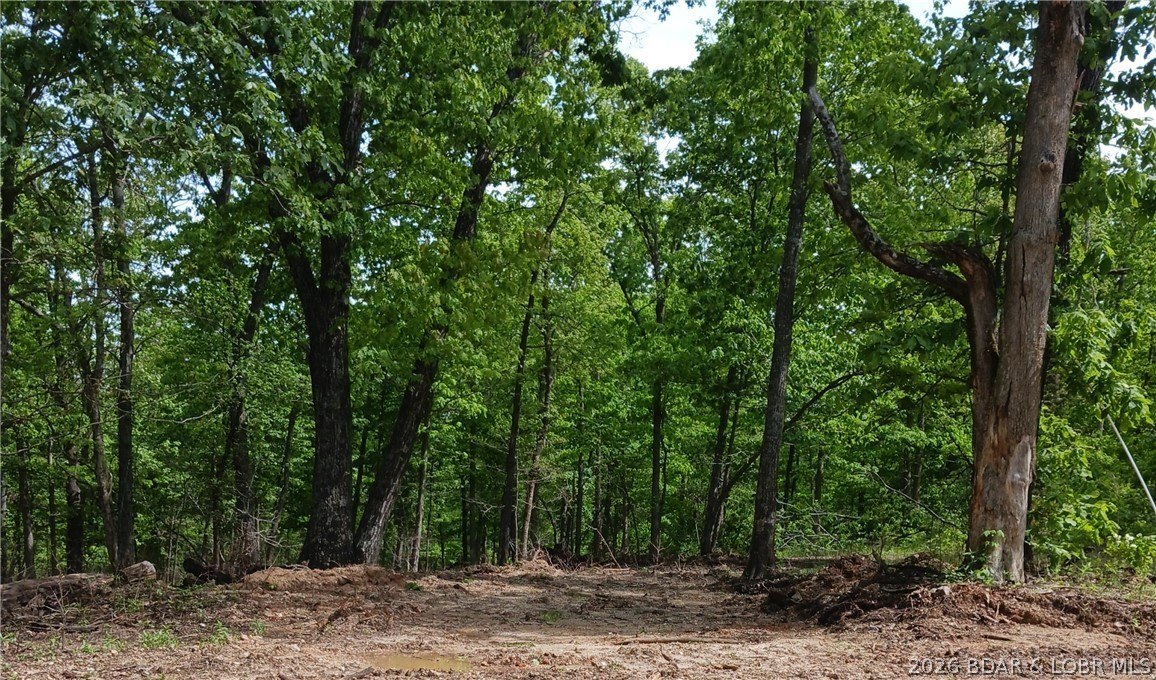 Secluded Land Near Lake Ozarks