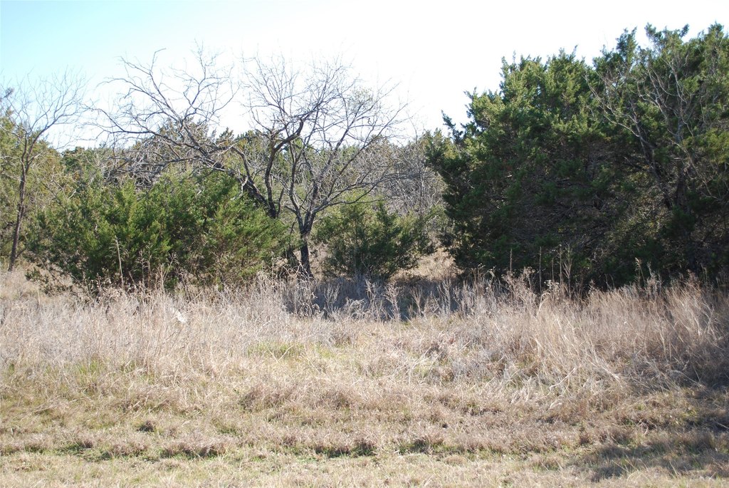 Picture 3