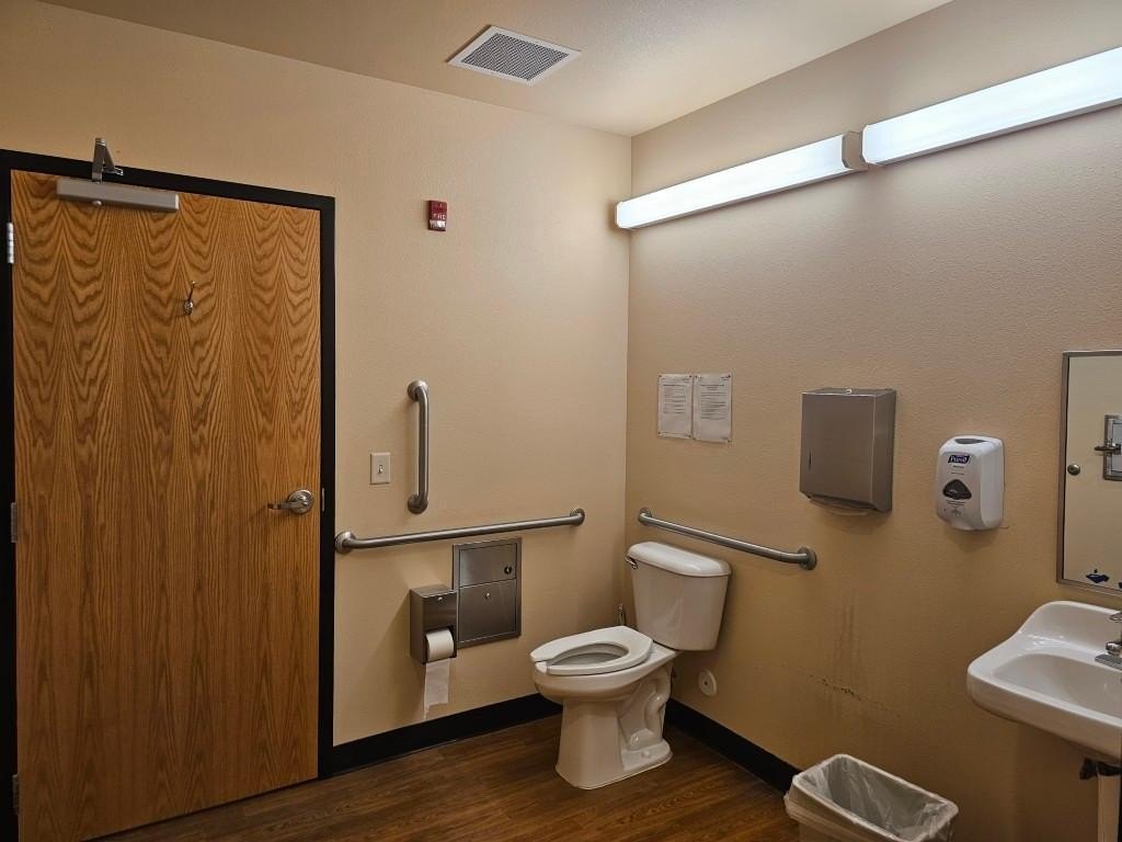 Picture 8