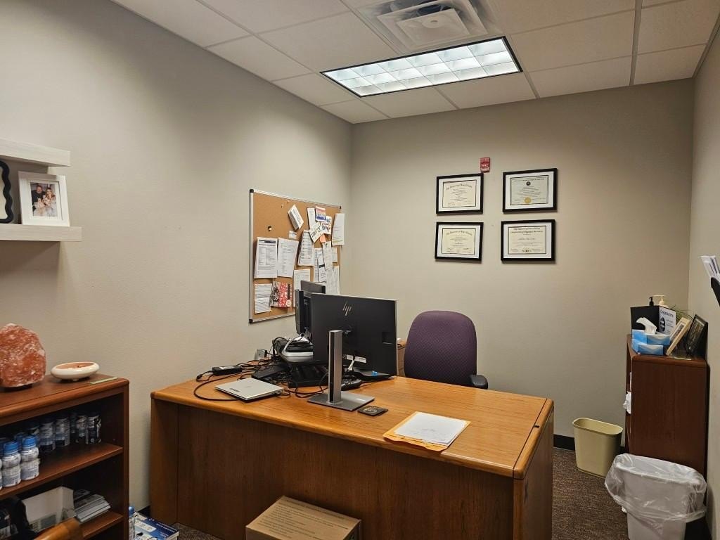 Picture 21