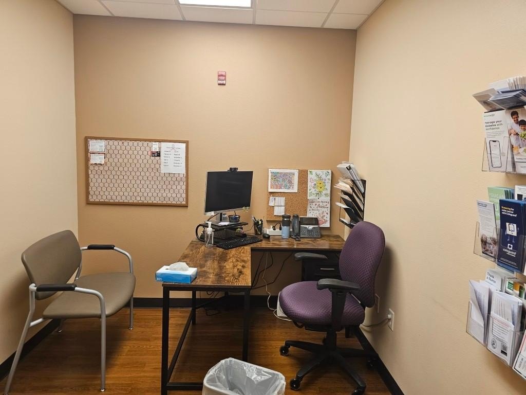 Picture 6