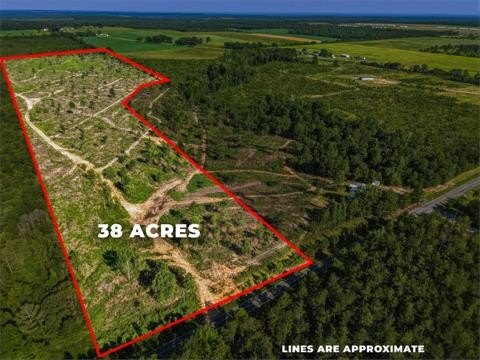 Unimproved Farmland with Homesites
