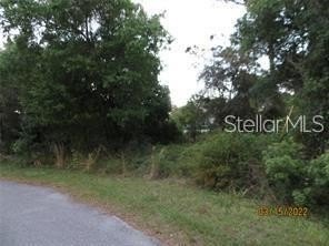Picture 3