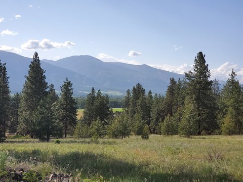 Montana Land with Mountain Views