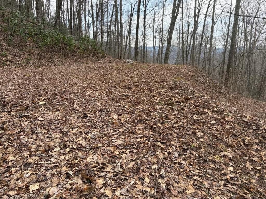 Cleared Wooded Lot in Bryson