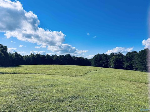 Land, Vinemont, AL
