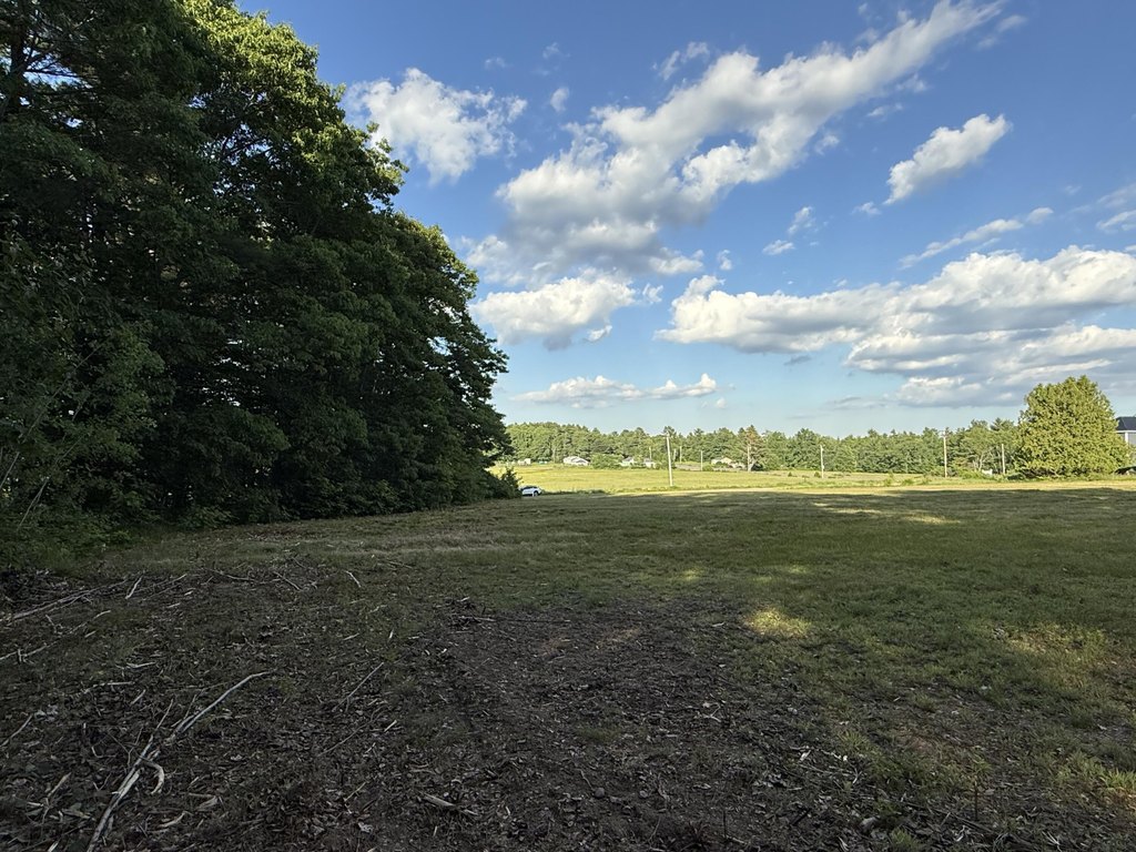 Picture 21