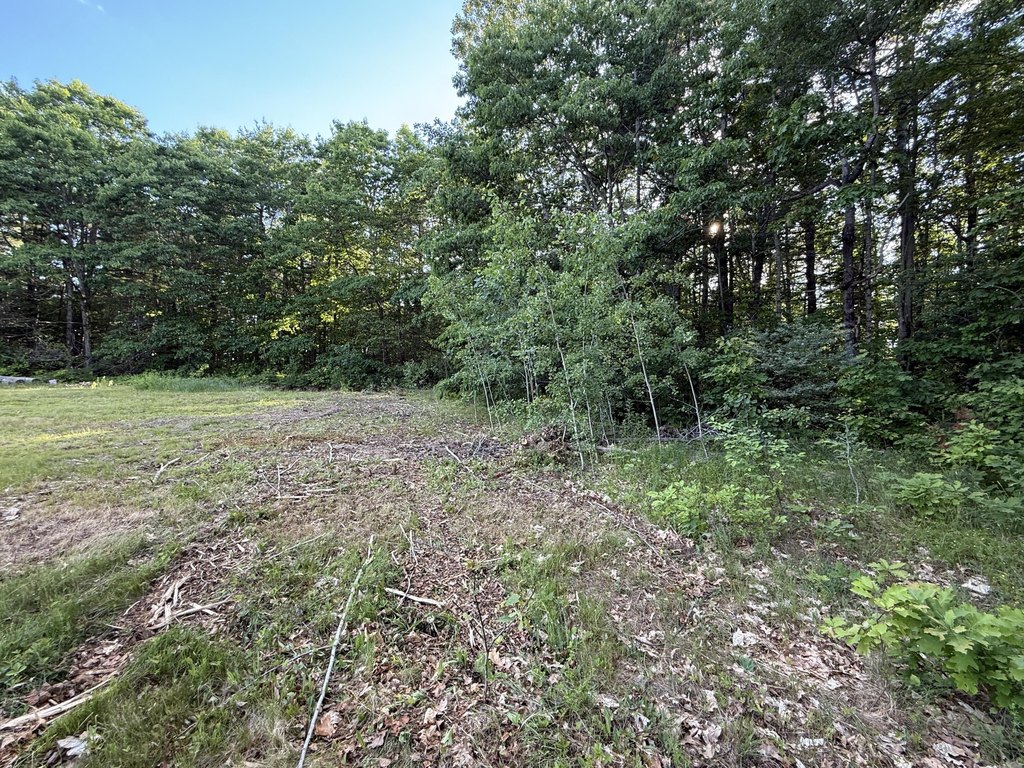 Picture 17