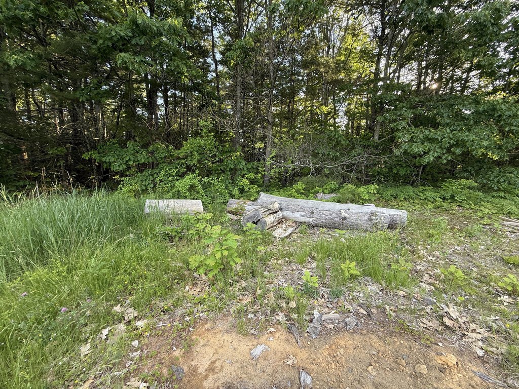 Picture 22