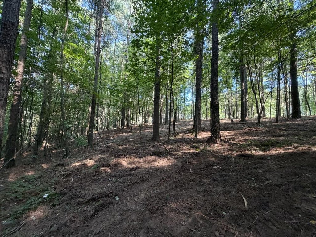 Picture 16