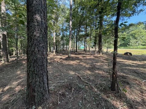 Land with Panoramic Mountain Views