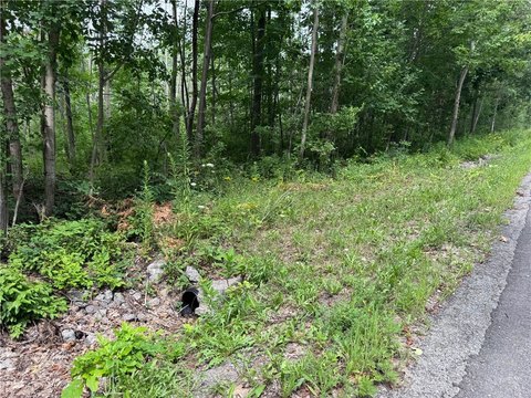 LAND - Conesus, NY