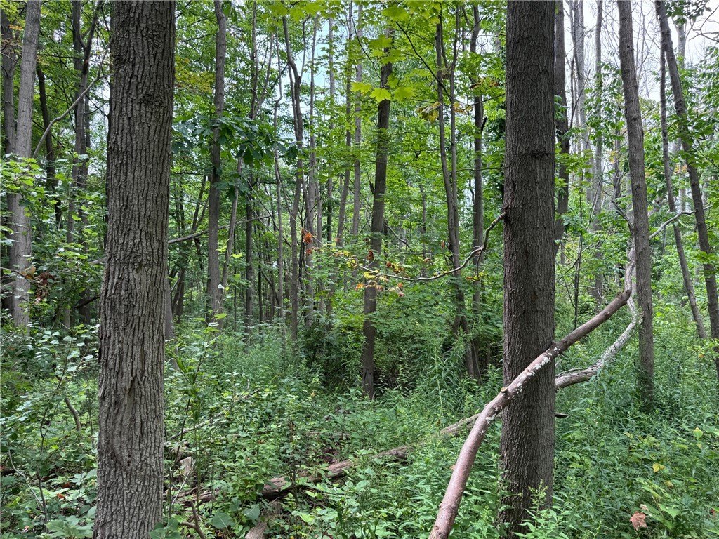 Picture 5
