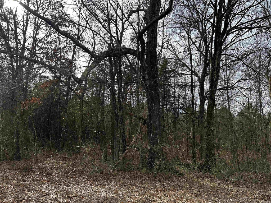 Picture 4