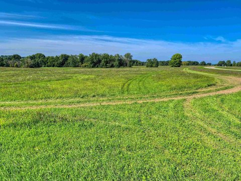 LAND, LAKE CARROLL, IL