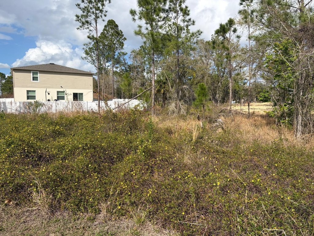 Picture 5