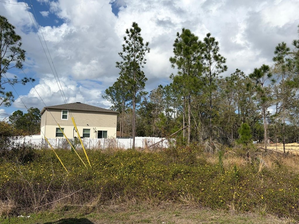 Picture 10