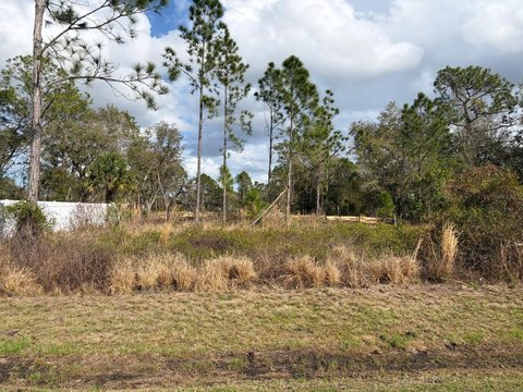 Residential Lot in Poinciana, FL